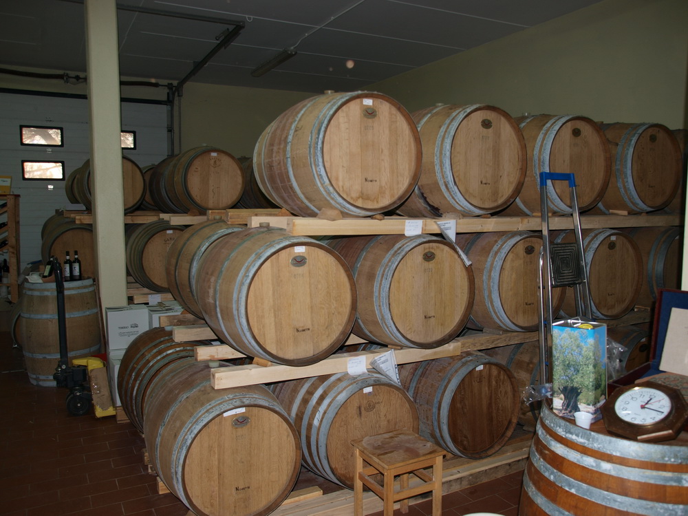 Weingut Tiberio, Weinkeller