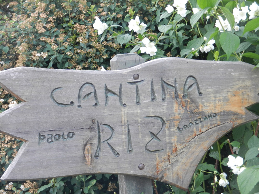 Weingut Riz, Impressionen