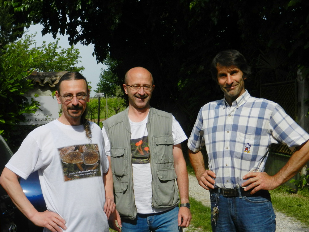 Weingut Kitzmüller, Impressionen