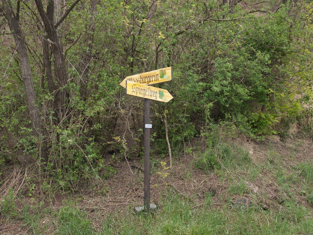 Weingut Winkler, Weingärten