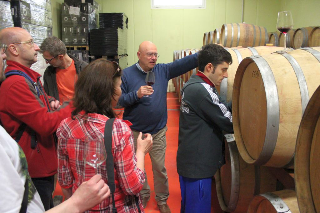 Terracruda, Weinkeller