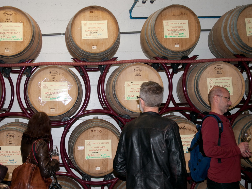 Conventino di Monteciccardo, Weinkeller