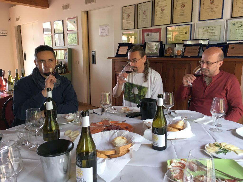 Conventino di Monteciccardo, Weinverkostung