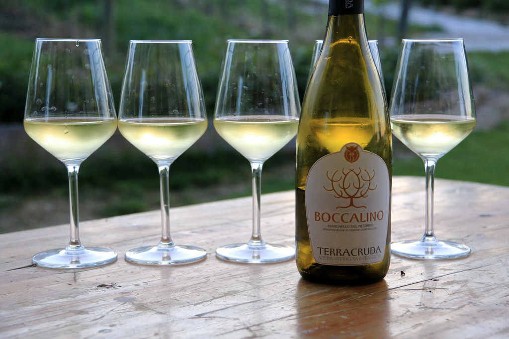 Terracruda, Boccalino, Bianchello del Metauro