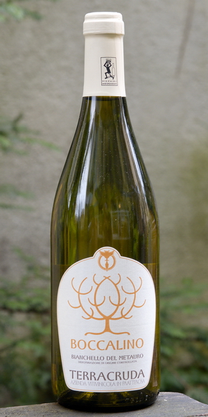 Boccalino von Terracruda