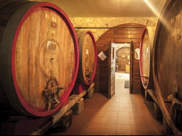 Fattoria Le Terrazze, Fässer