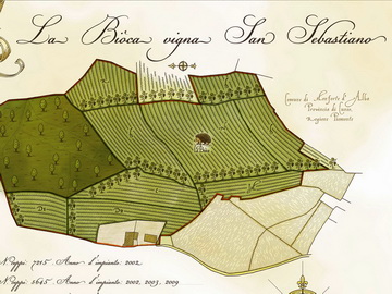 Weingut La Biòca