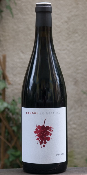 Pinot Noir vom Weingut Schödl